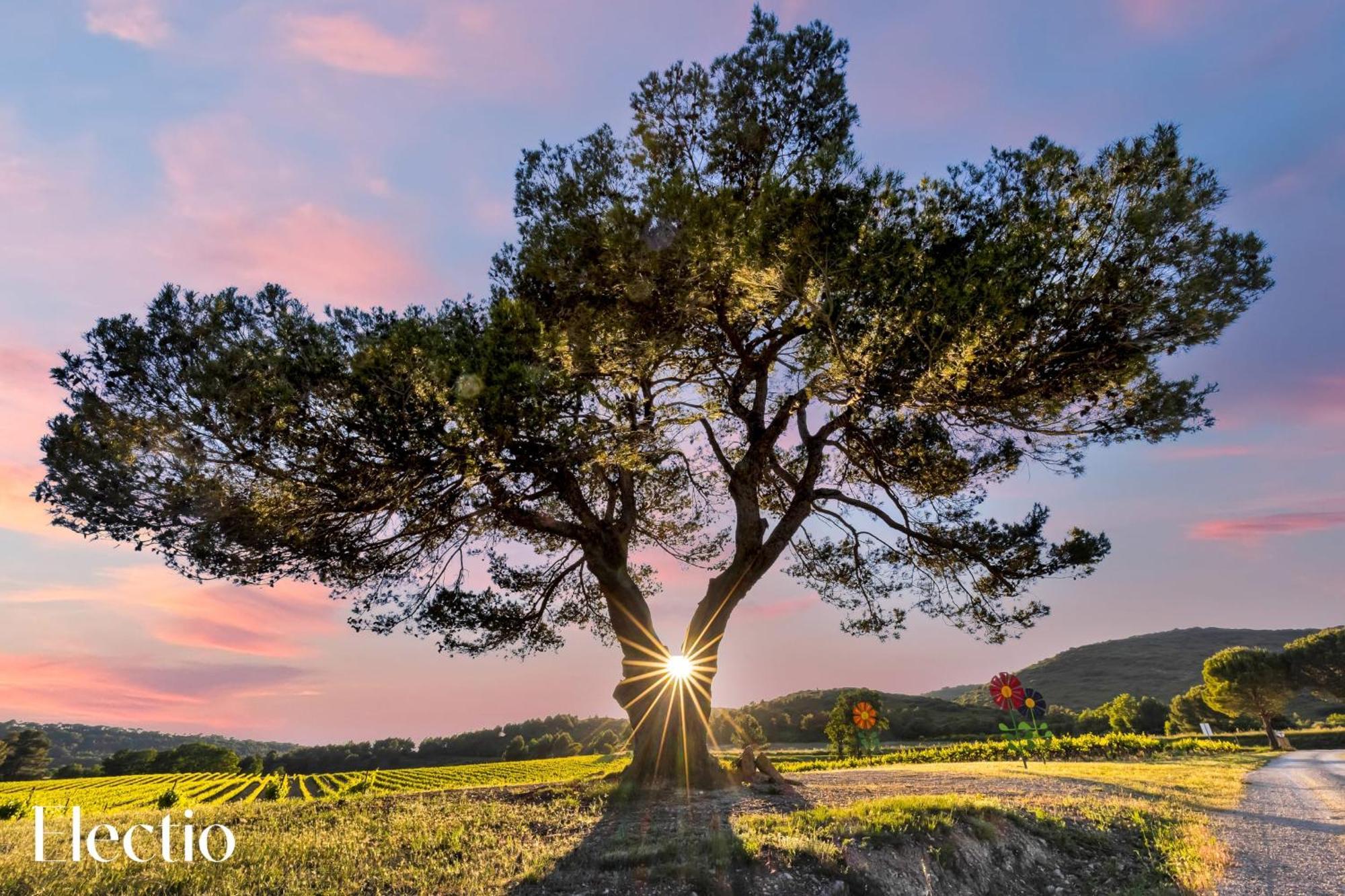 Bastide Domaine Tour Campanets Aparthotel Le Puy Sainte Reparade Bagian luar foto